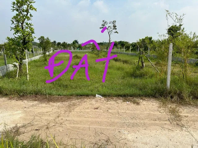 Bán lô đất vườn siu đẹp. Xd tường rào xung quanh. Đường Võ Văn Điều.