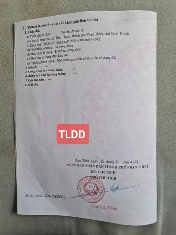Bán đất 100m² ngang 5m giá 1.25 tỷ Phường Tiến Thành