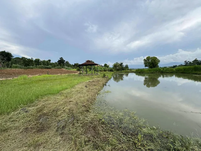 Bán đất 665.9m² ngang 20m giá 790 triệu Xã Ea Ning
