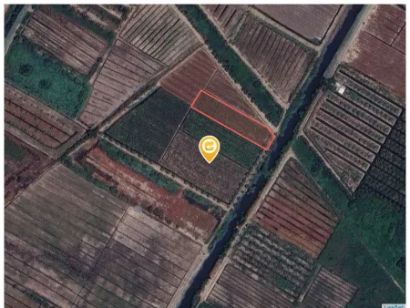 ĐẤT NÔNG NGHIỆP 2200m² NGANG 22m – MẶT TIỀN KÊNH HỘI ĐỒNG, XÃ BÌNH LỢI – BÌNH CHÁNH