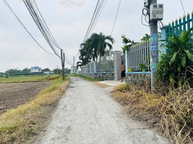 Bán đất 233.5m² ngang 5m giá 1.3 tỷ Xã Mỹ Hạnh