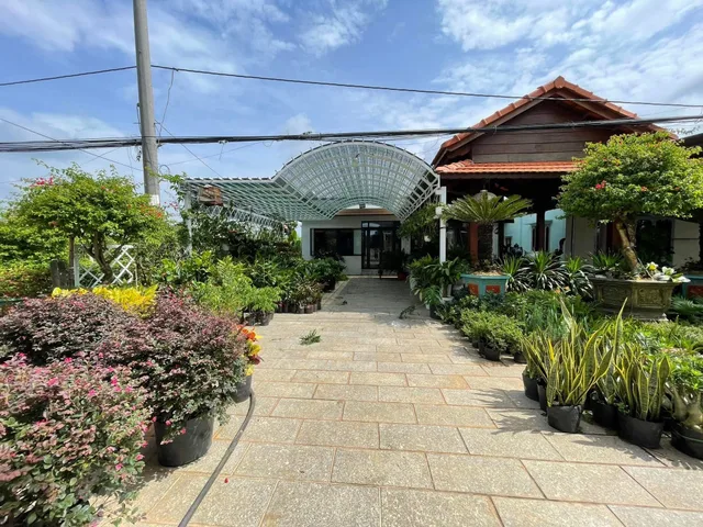 Bán đất 295.6m² ngang 12m giá 6 tỷ Xã Xuyên Mộc