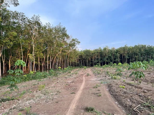 Bán đất 10000m²  Xã Long Hà(Thôn 3, Long Tân cũ)