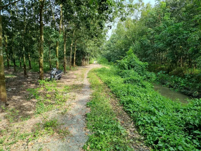 (S722) Đất mặt tiền Rạch Thai Thai, xã Phú Mỹ Hưng, dt 1.189m2, đất ở khsx chưa thổ cư, giá 2 tỷ