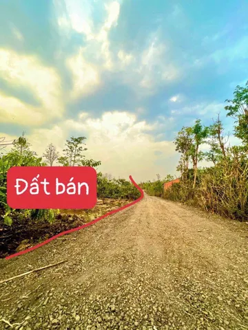 Bán đất 556.4m² giá 139 triệu Xã Ea Drông
