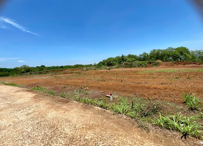 NỢ NGÂN HÀNG BÁN 249M2 ĐẤT THỔ CƯ SHR, SÁT CHỢ, ỦY BAN, CHỢ ĐỐI DIỆN LÀ KCN. GIÁ 385TR. LH: O931.783.2O9_C.HUYỀN