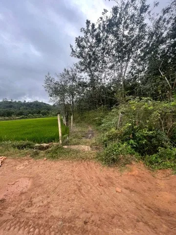 Bán đất 9000m² ngang 40m giá 1.8 tỷ Xã Ea Na