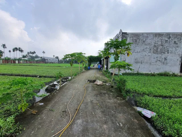 (L767) Đất xã Bình Mỹ, dt 1.100m2 đất ONT, giá 6 tỷ 600