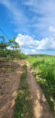 Bán đất 16188.9m² ngang 200m giá 900 triệu Xã Hòa Phú