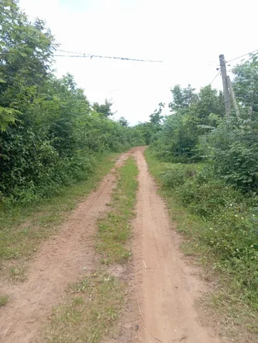 Bán đất 3000m² giá 479 triệu Xã Ea Ning