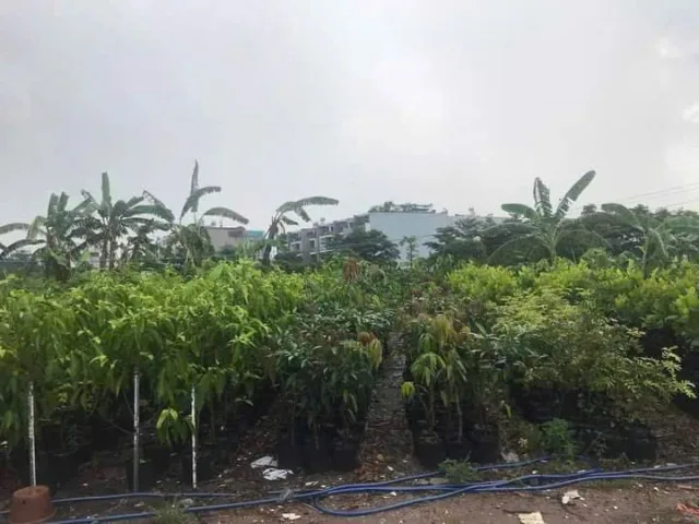 ⭐️ 0.9Ha Đất đầu tư GD View sông – Phan Huy Ích Gò Vấp