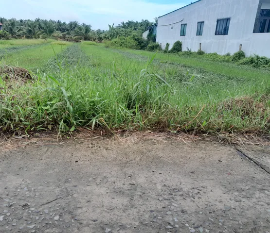 Bán đất 448m2 đường đt12b, thị trấn vĩnh bình, gò công tây. có 300m2 thổ cư, sổ hồng, 650 triệu