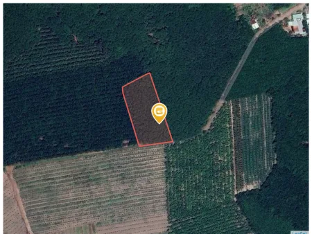 Bán đất 4887.6m² Xã An Long