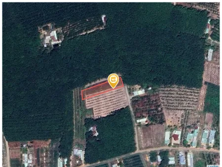 Bán đất 1669.3m² Xã Phước Thành
