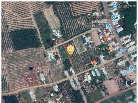Bán đất 556.7m² Xã Phước Thành