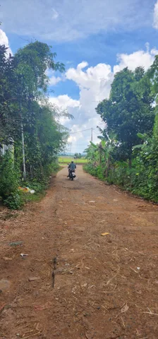 Bán đất 172.7m² ngang 9,61m giá 1ty250 triệu Xã Hòa Phú