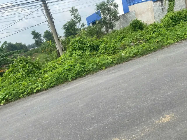 Bán 1000m2 có 150m2 thổ cư, đường Gia Miệng, cách TL 830 400m, Lương Hoà, Long An