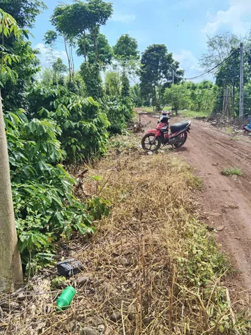 Bán đất 1332.3m² ngang 9,6m giá 555 triệu Xã Hòa Phú