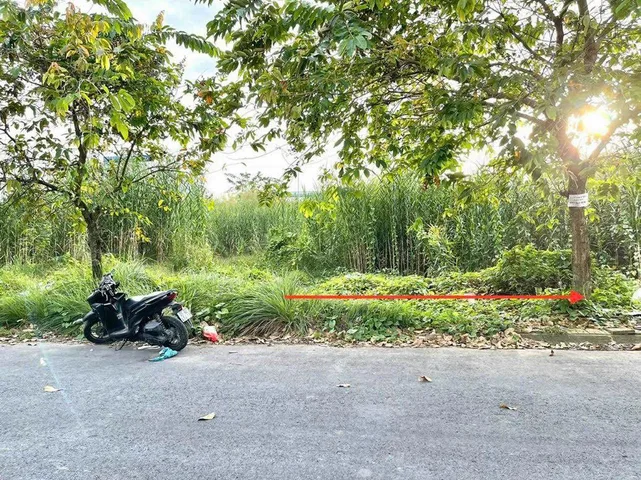 Bán đất 81m² ngang 4,5m giá 3.6 tỷ Phường Tân An
