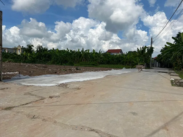 Bán đất đại sơn giá rẻ hơn thị trường chỉ 8.8tr/m2