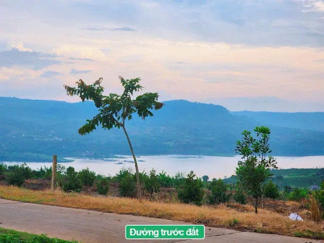 Ngộp Bank Chạy Khắp Nơi Mãi Không Đủ Cần Bán Ngay 1006m2 Ven Đà Lạt View Hồ Chỉ 399tr