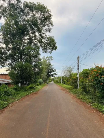 Bán 2ha  Mt nhựa có 300m thổ cư 
Xã bàu lâm. Giá siu tốt