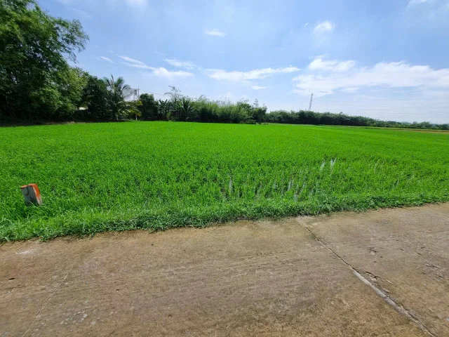 (S734) Đất xã Trung Lập Hạ, dt 548m2,thổ cư 100m2, giá 2 tỷ