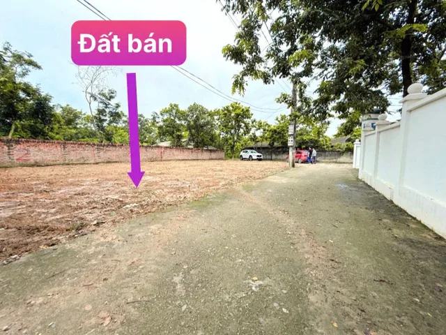 Bán đất