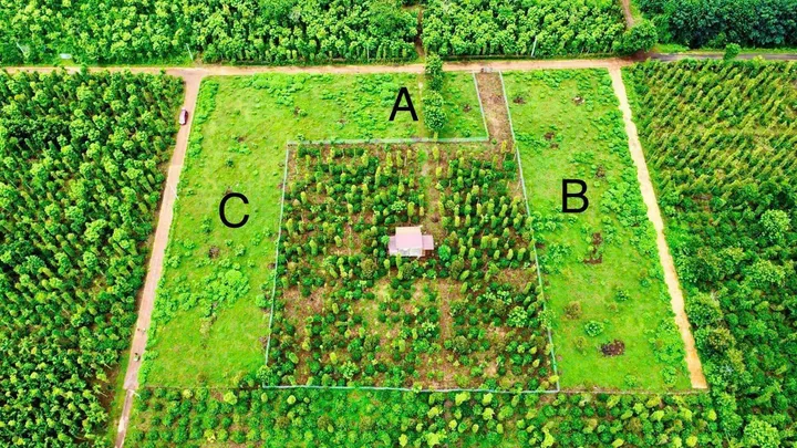 Bán đất 5493.9m² ngang 5m giá 268 triệu Xã Dray Bhăng