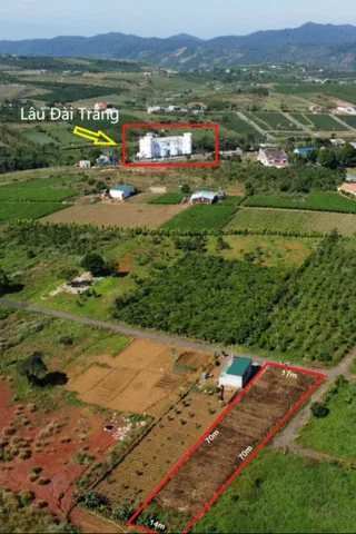 Cắt Đôi Nỗi Sầu DÌ chơi Hội Vỡ Trận Cần Bán Gấp 1100m2 đối diện Lâu Đài Trắng Chỉ 311tr