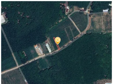 Bán đất 271.5m² giá 320 triệu Xã An Long
