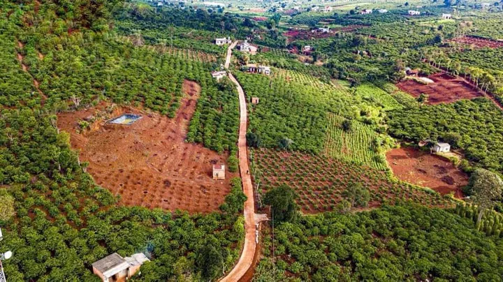 576m2 CÓ 16m MẶT TIỀN - VIEW ĐẸP - CÁCH CHỢ ĐÊM ĐÀ LẠT 24 KM