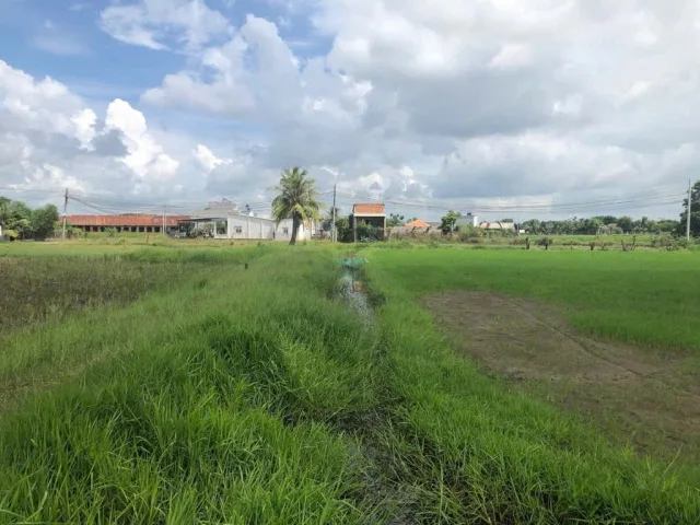 ⭐️ 1Ha Đất Vuông SHR HXH – Đức Hoà Thượng Long An