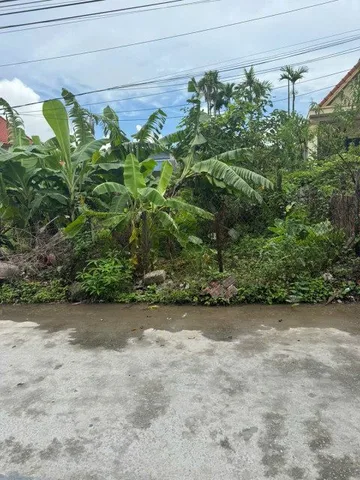 Bán đất 137m² ngang 5,02m giá 2.35 tỷ Phường Thiên Hương( Hoàng Động). liên hệ 0362558882
