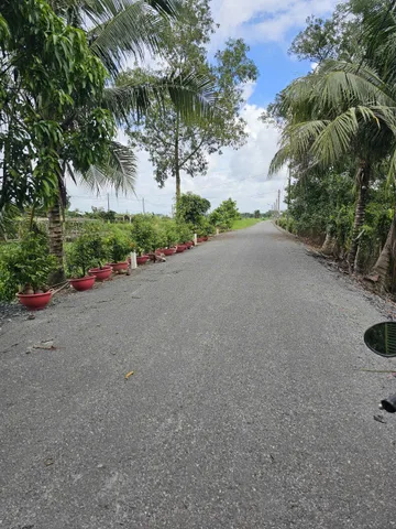 Bán đất 5583m² Vườn thơm Kênh 8 Xã Bình Lợi