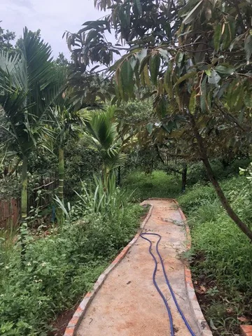HẠ GIÁ 200 TRIỆU VIEW HỒ ĐẠT LÝ – ĐẤT RỘNG, CẢNH SIÊU ĐẸP 🌊