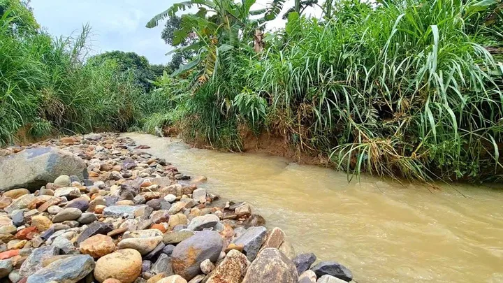 Tại Đông Thanh, Nam Ban! Vườn Gần 4sào, Sanx Nhà C4 Cũ| Đường và suối Bao quanh