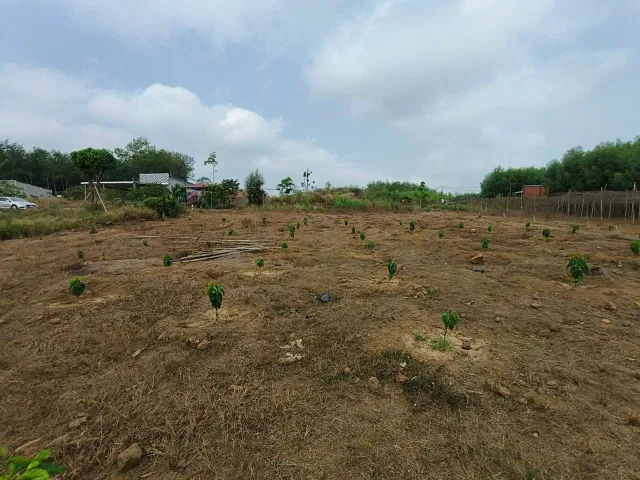 1000m2 đất sào có sẵn thổ cư Phú Giáo Bình Dương giá 340TR