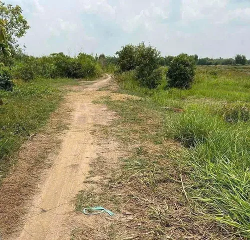 Bán đất 2740.6m² ngang 5m giá 350 triệu Xã Đức Hòa