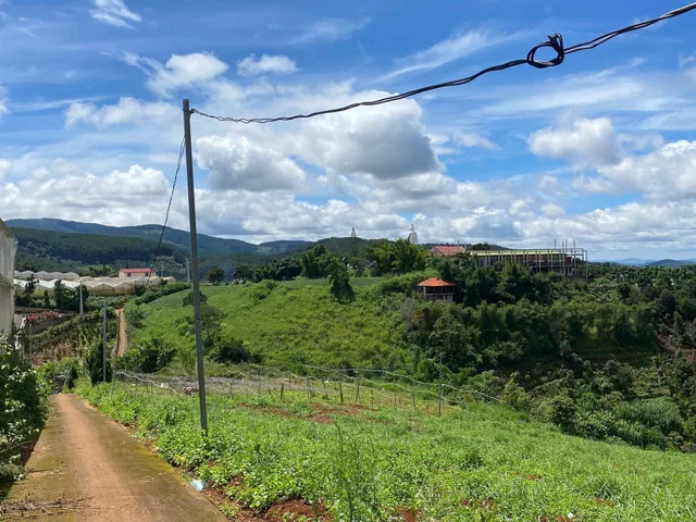 🔥🔥Hàng hiếm 🔥🔥
- Chỉ 3tr/m2 đã sở hữu lô đất 3 mặt tiền với view 360 độ cực đẹp.