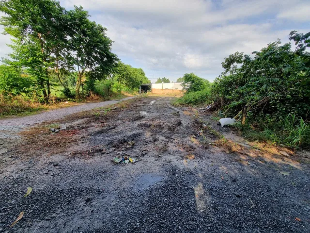 (L799)  (Đã bán )Đất 1/ ngắn Nguyễn Thị Nê, xã Phú Hòa Đông, dt 732m2, thổ cư 231m2, giá chỉ 2 tỷ 900