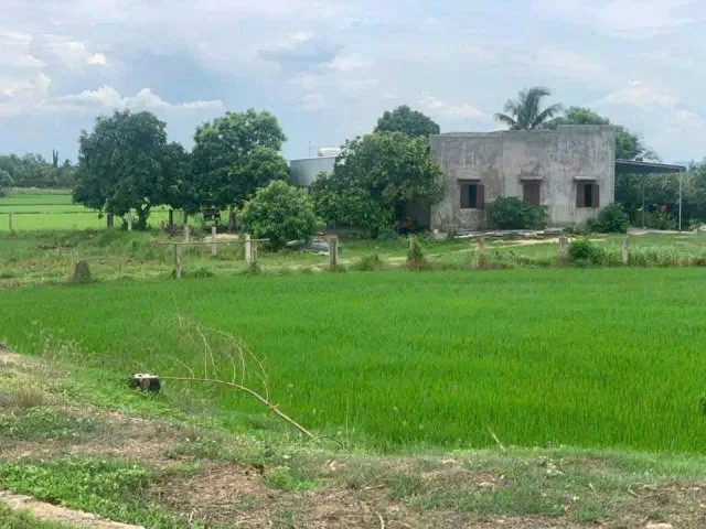 Bán đất 2760m² giá 750 triệu Xã Hàm Liêm