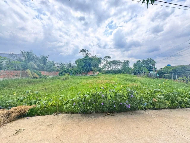 Bán đất 987.5m² ngang 18m giá 4.8 tỷ Xã Mỹ Hạnh
