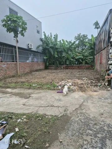 Bán đất 70m² ngang 7m giá 1.55 tỷ Phường Thiên Hương( Lâm Động). liên hệ 0362558882
