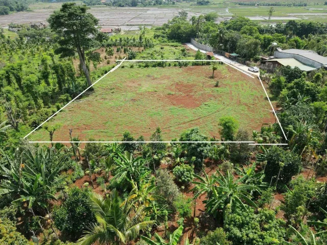 Bán đất 3231m² ngang 18m giá 3.2 tỷ Xã Quảng Phú