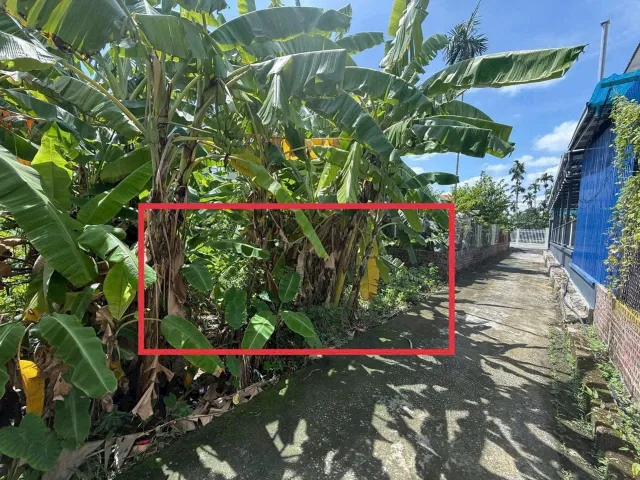 Bán 97.9m Thôn Đông Lâm Động , ngõ ô tô cách đường thôn 30 m ngõ  thực tế rộng 3m. L/h:076.231.9990 e Thuý