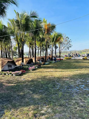 Bán đất 1000m² giá 220 triệu Xã Hòa Phú