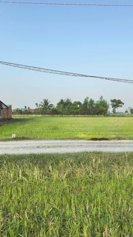 Bán đất 618.4m² Xã Đức Lập