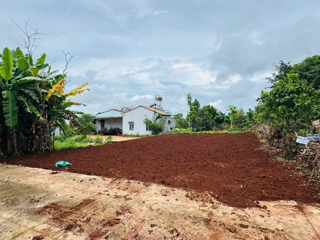 Bán đất 137.9m² ngang 6m giá 1.62 tỷ Phường Buôn Ma Thuột