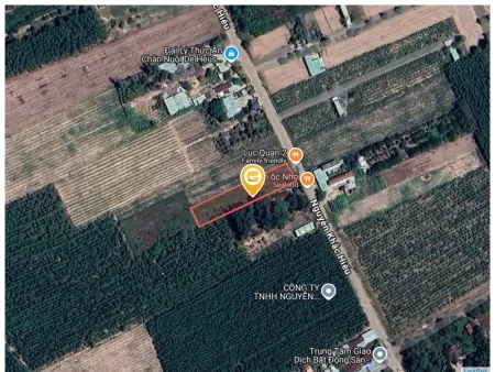 Bán đất 1947.2m² giá 17 tỷ Phường Tam Phước
